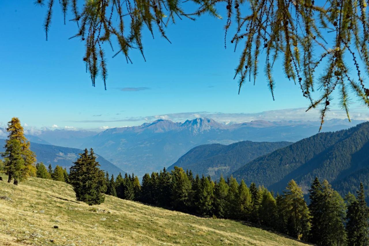 Hotel Alpenhof 울티모 외부 사진